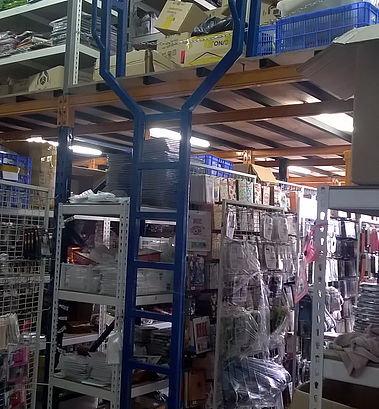 Cat Ladder stair and handrail assembly